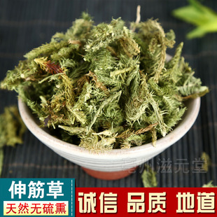 伸筋草舒筋草石松 狮子尾大伸筋草500克包邮中药材免费磨粉水丸