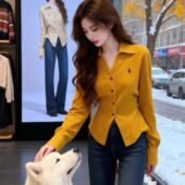 法式 蛋黄色polo半开领收腰衬衣衬衫 2026春季 独特别致设计感上衣女