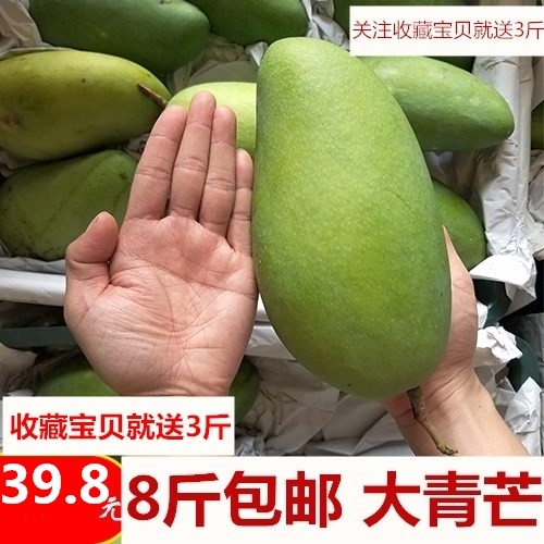 芒果 新鲜水果大青芒金煌广西芒果5斤送3斤共8斤非台农玉芒贵妃