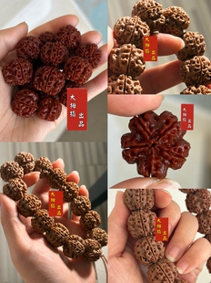 纯原生态天然籽 玲珑安娜 尼泊尔大金刚菩提手串文玩 镂空双龙