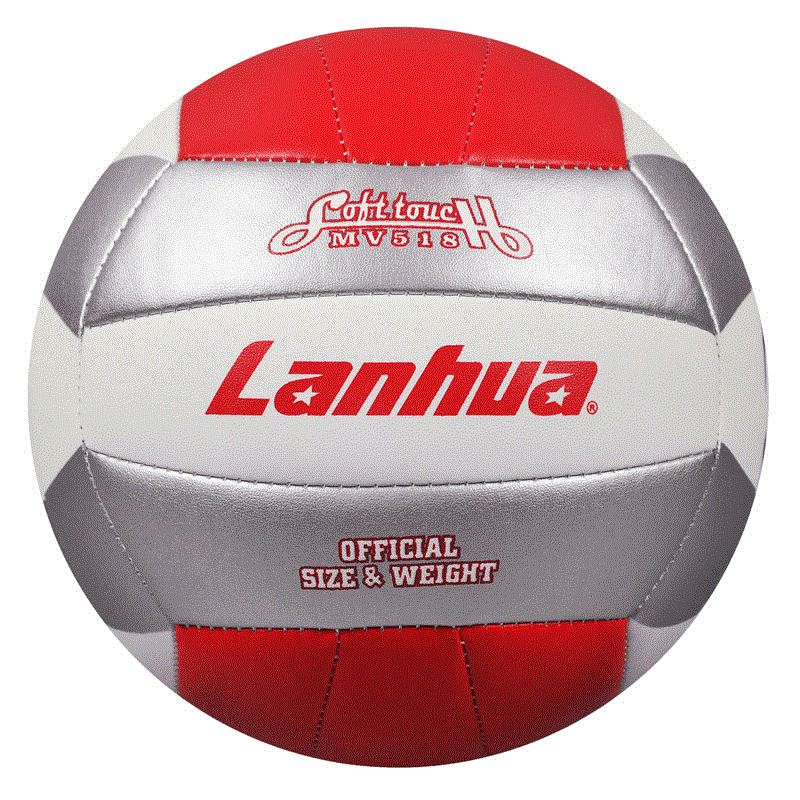 Ballon de volley-ball - Ref 2013022 Image 1