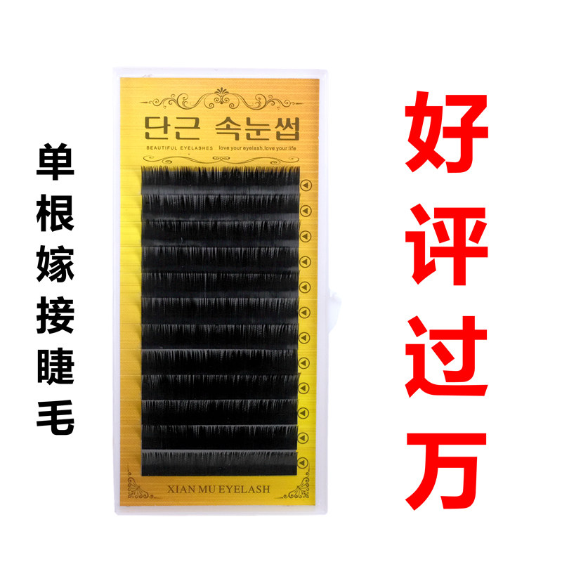 深黑中亮度单根嫁接睫毛