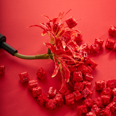 彼岸花V2闪粉线性热插拔键轴