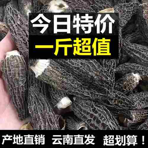 云南羊肚菌蘑菇干货特价半斤商用