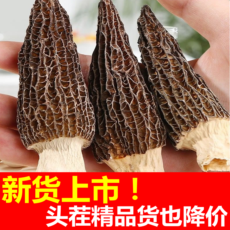 云南特产地直发精品头茬级干羊肚菌蘑菇干货官方旗舰店无硫高端档