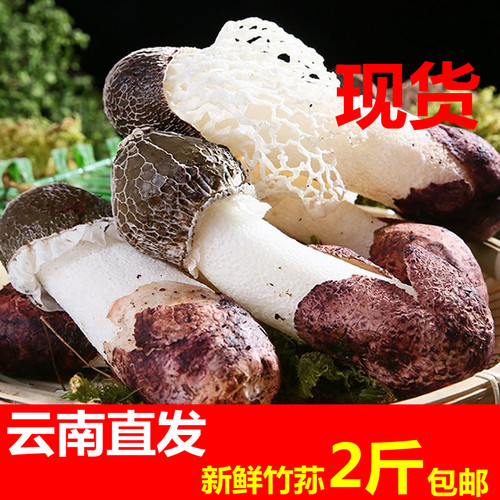 2斤新鲜竹荪菌云南省蛋火锅1000g