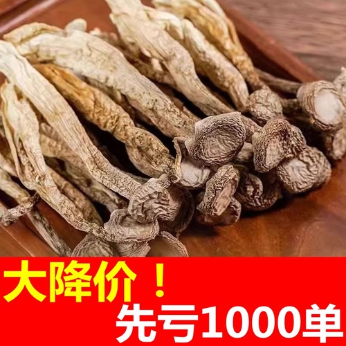 一级优质鹿茸菇干货正品煲汤食材