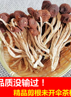 一级不开伞剪根干茶树菇干货好货旗舰店品质江西广昌未开伞500g克