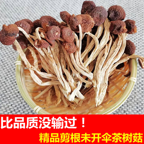 好货剪根茶树菇干货不开伞500g