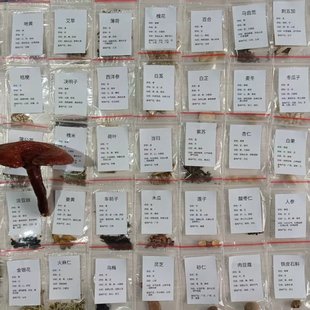 中药材中草药标本标签袋装500味教学习工具伤寒论医学生药食同源
