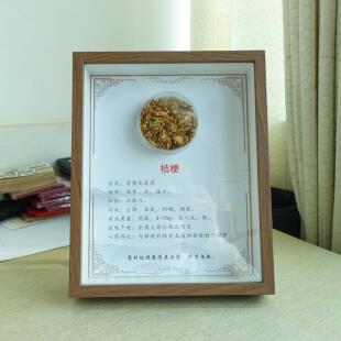 中药标本装饰画四季二十四节气学习中医药养生认识植物中草标本框
