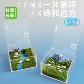 一片草原苔藓微景观小植物懒人办公室桌面装 饰绿植摆件创意小礼品