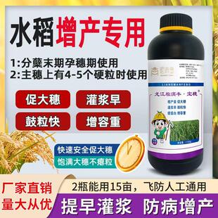 宝穗水稻专用有效分蘖孕穗灌浆籽粒饱满不空壳不瘪粒浓缩叶面肥