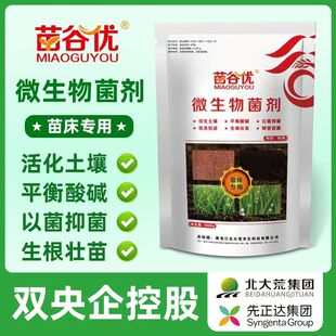 微生物菌剂苗床防土传病害根腐蔬菜烂根死叶修复活化土壤生根肥料