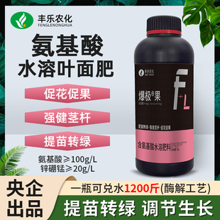 丰乐氨基酸水溶肥富含锌锰硼增强光合解决叶片黄化转绿健壮茎杆