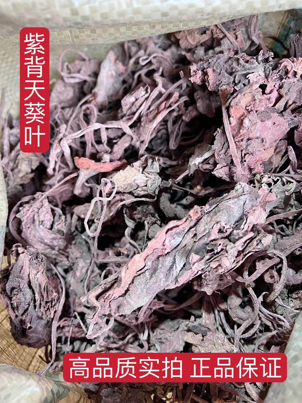 紫背天葵500g中药  正品特级红天葵 红叶龙红水葵手工挑选