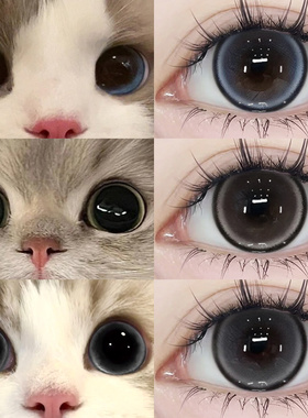 蓝色半年抛美瞳正品官方旗舰店大小直径自然款锁边女隐形眼镜2xx