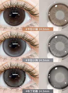 黑棕色美瞳半年抛大小直径日常自然款隐形眼镜官网正品旗舰店8xx