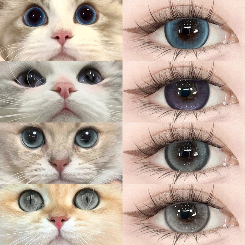 日抛10片装+日抛6片装+两盒送润眼液