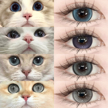 柏林布偶美瞳日抛30片10猫眼cos一次性隐形眼镜官方正品LX次抛TN