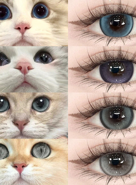 柏林布偶美瞳日抛30片10猫眼cos一次性隐形眼镜官方正品LX次抛TN