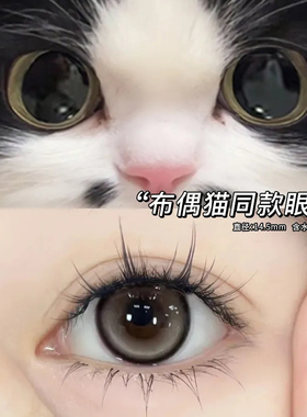 高光奶油美瞳日抛30片大小直径灰色旗舰店正品彩色隐形眼镜女6xx