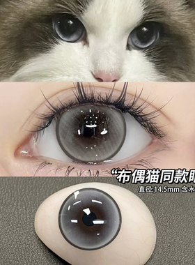 冻梨酥美瞳半年抛伪素颜灰色纯欲大直径一年抛带度数QF隐形眼镜TN
