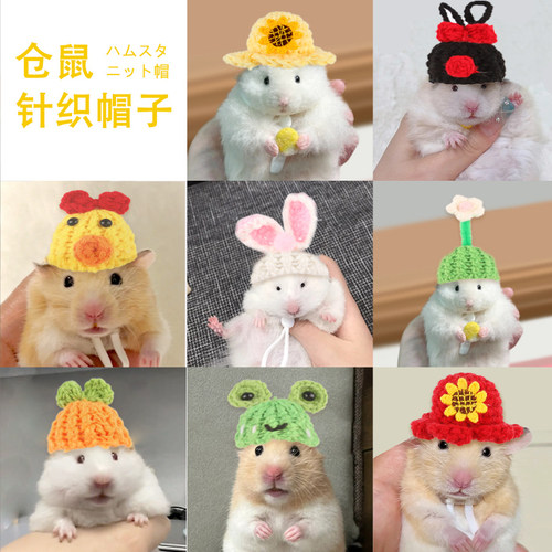 【源头厂家】仓鼠小帽子金丝熊鹦鹉头套花枝鼠头饰衣服装饰蜜袋鼯