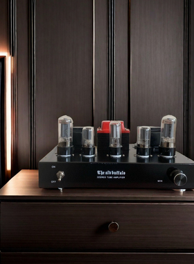 6P3P胆机 升级苏联进口6N3C电子管，进口5支苏联管