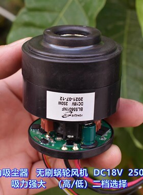 55mm超高速 无刷吸尘器电机18V 250W 钕强磁内置驱动 铝合金叶轮