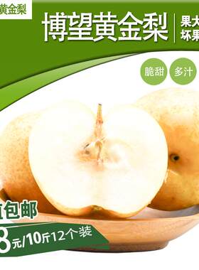 黄金梨新鲜梨整箱包邮脆甜无渣