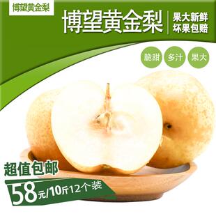 河南南阳特产正宗博望坡黄金梨孕妇水果脆甜无渣现摘现发整箱包邮