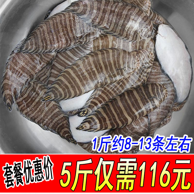 本地新鲜条鳎鱼花手绢鱼踏板鱼花龙利鱼1斤8-13条鳎目鱼5斤装包邮
