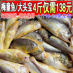 新鲜梅童鱼海捕大头宝鱼梅子鱼1斤约18-24条小眼鱼深海海鱼4斤装