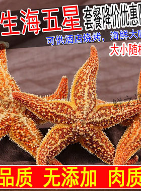 野生海星海五星5斤包邮