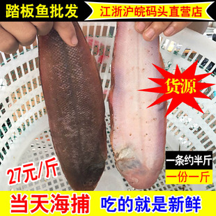 中号新鲜龙利鱼踏板鱼鲜活野生舌头鱼鳎目鱼海捕牛舌鱼一斤约2条