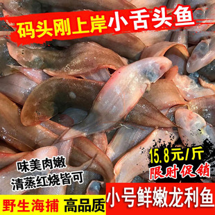 野生海捕牛舌鱼新鲜龙利鱼小踏板鱼舌头鱼鳎目鱼一斤20-25条左右
