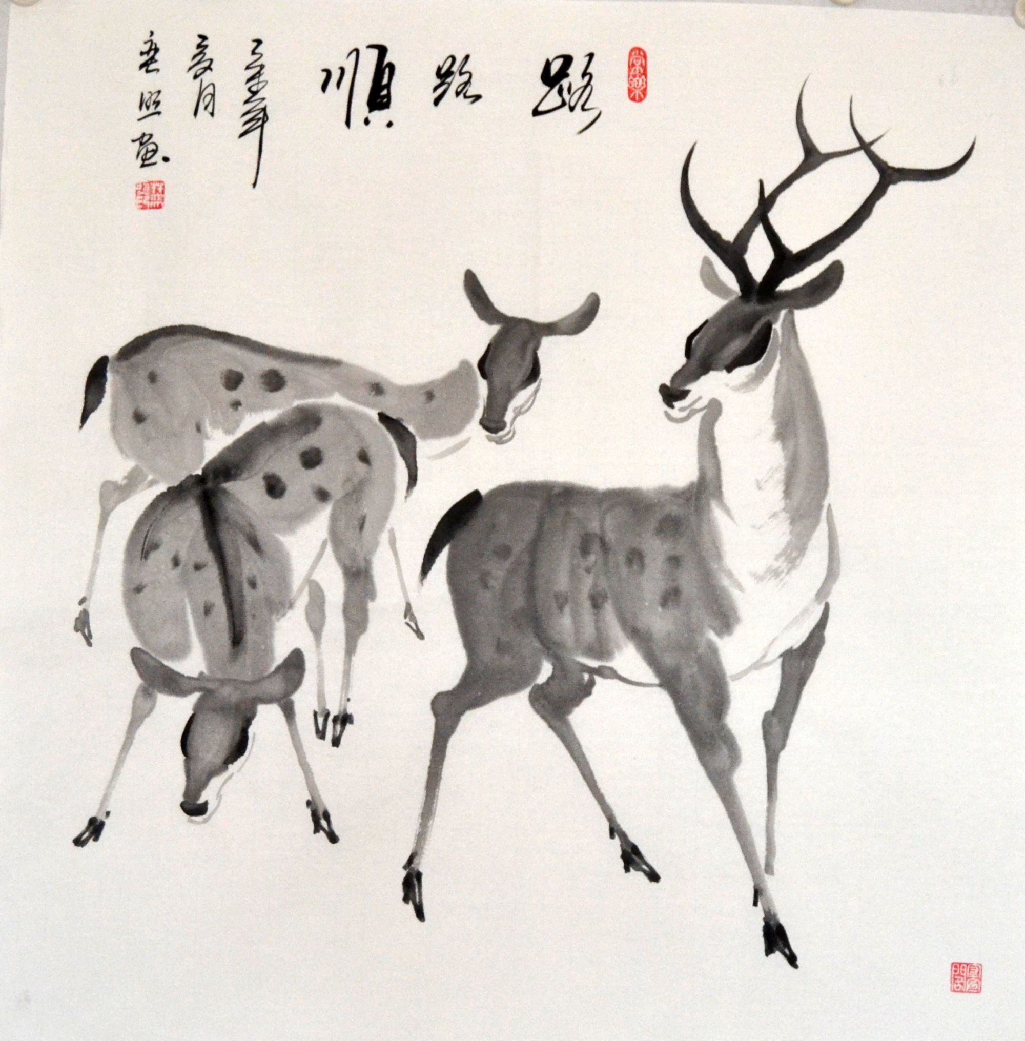 四尺斗方动物走兽水墨鹿奕照国画字画手绘挂画客厅书房办公室装饰图片