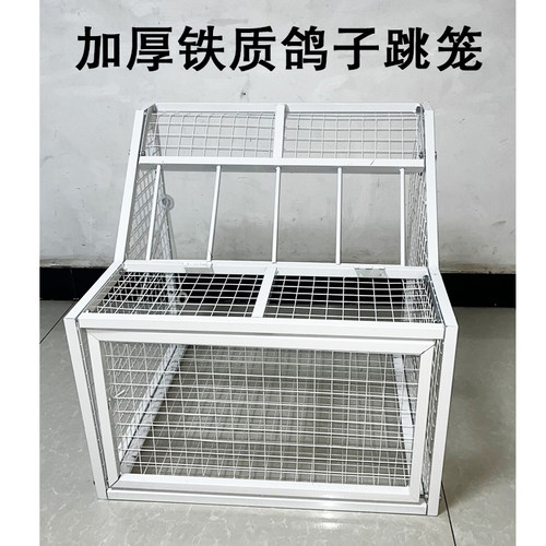 加厚铁质鸽子跳笼防锈单向进笼口