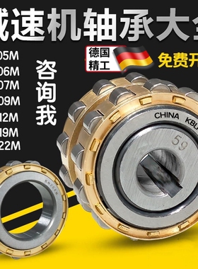 偏心轴承 RN205 RN206 RN307 RN309 204 312 219 222 228 M减速机