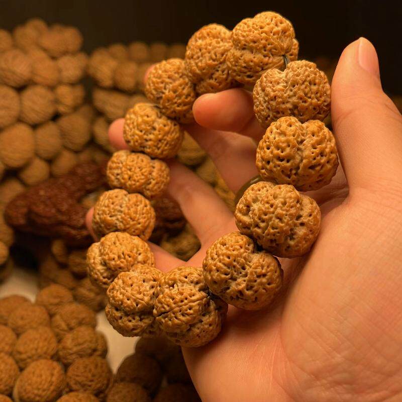 尼泊尔新籽五星大梅花金刚菩提