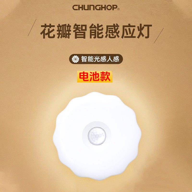 人体智能花瓣感应小夜灯电池款充电式家用走廊过道门口出口跨境