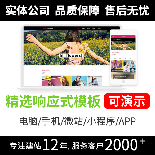 深圳网站模板制作公司 提供全方位建站支持 模板R267