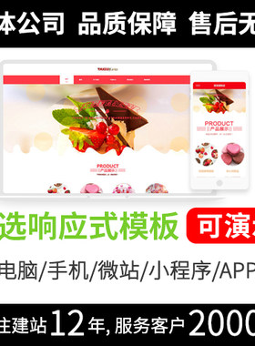 深圳网站模板制作公司 经验丰富 值得信赖网页模板R351
