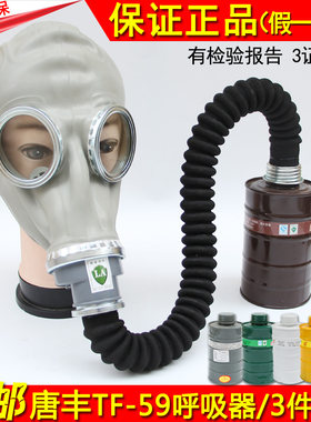 唐丰防毒喷漆化工装修氨气全面罩