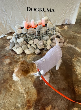 Dogkuma（狗狗款）春夏人宠同款宠物亲子装狗狗香芋紫针织T恤