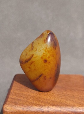 C030907新疆的猫19.6克艳美红油皮玻璃底老熟油糯的红沁皮玩籽