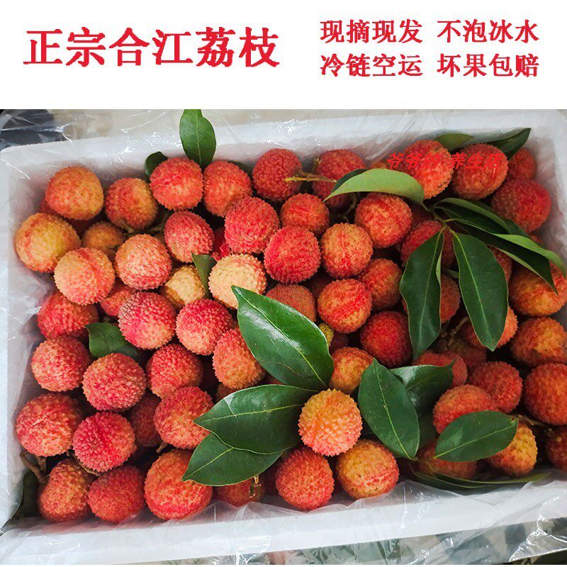 荔枝新鲜现摘现发妃子笑四川泸州合江特产浆纱兰当季水果整箱5斤