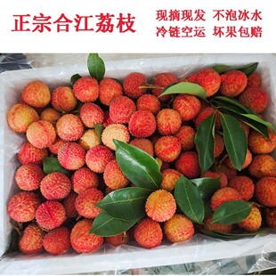 荔枝新鲜现摘现发观音绿四川泸州合江特产带绿当季水果整箱5斤