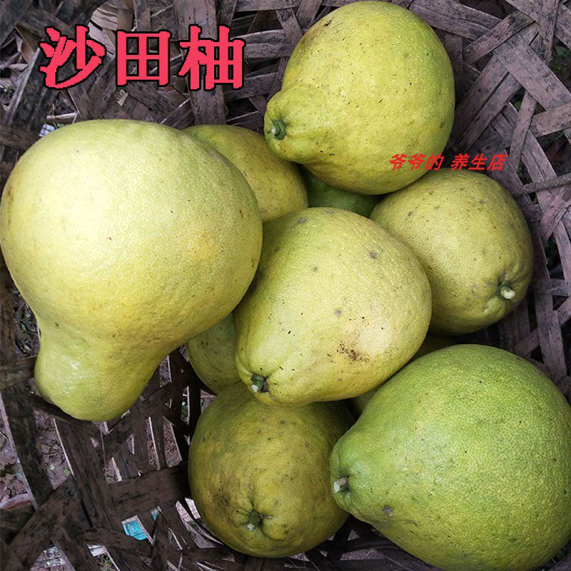 四川泸州柚子新鲜水果白心纯甜当季白肉沙田柚整箱包邮非广西容县